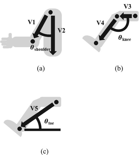 Figure 3. Joint angle model. (a) Shoulder joint angle. (b) Knee joint angle. (c) Toe joint angle.