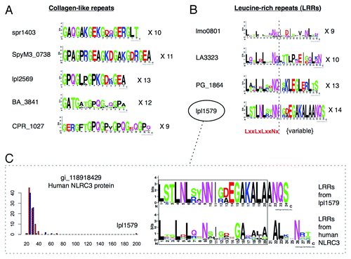 Figure 4. Independent evolution of ECM mimics from separate repeat amplifications. High-scoring collagen-like (A) and leucine-rich repeat (B) protein mimics were selected and divided into their constituent protein repeats, which were aligned and used to generate sequence logos. Differences between the sequence logos of each repetitive protein suggest evolution from separate progenitor peptides and repeat amplifications. (C) An example demonstrating similarity of leucine-rich repeat sequence conservation patterns between a human NOD-like receptor (NLRC3) and a predicted mimicry candidate (lpl1579) from Legionella pneumophila. The detected level of sequence similarity between these two proteins is far above that observed in non-pathogens (blue) and other pathogens (red) as indicated by the BLAST bitscore distribution (left panel).