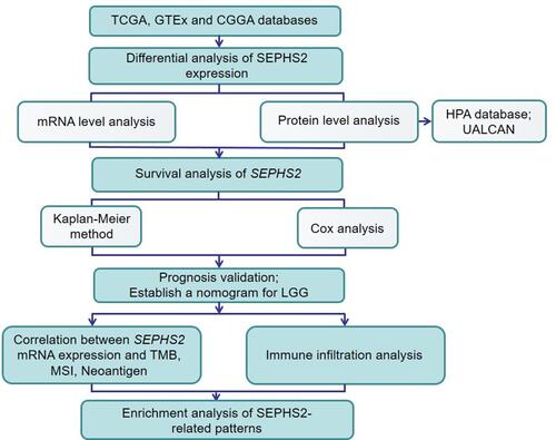 Figure 1 Flowchart presenting the design and analysis process of this study.