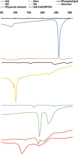 Figure 8 DSC thermograms of GA, zein, phospholipid, SA, VA, sucrose, physical mixture, and GA-CACNP/VA system.