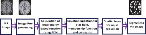 Figure 1. Workflow diagram of proposed method.