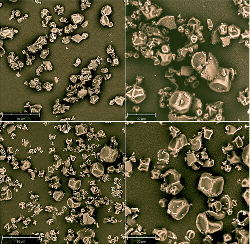 Figure 16. SEM images of recovered powder samples at different magnifications, top row: nozzle 1, bottom row: nozzle 2.