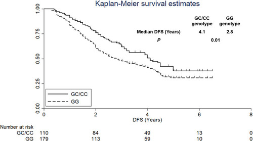 Figure 3 Disease-free survival of the 289 patients with NSCLC who had received platinum-based adjuvant chemotherapy according to PDL1rs822336-genotype status.