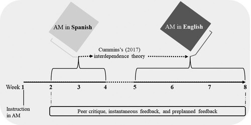 Figure 1. Main features of our eight-week FIFA intervention. AM Argument mapping.