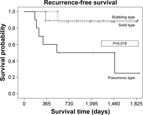 Figure 2 Kaplan–Meier recurrence-free survival curve based on computed tomography findings.