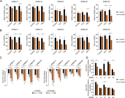 Figure 6 Insulin influences glutathione homeostasis in melanoma cells exposed to vemurafenib and trametinib. (A) The ratio of reduced (GSH) to oxidized (GSSG) glutathione after 12 h incubation with vemurafenib (PLX) and trametinib (TRA). (B) Luminescence measurements of total glutathione levels in melanoma cells after 12 h of drug treatment. RLU, relative light units. (C) Changes relative to controls in transcript levels of SLC7A11 and SLC1A5 after 24 h drug treatment, determined by qRT-PCR and normalized to the expression of a reference gene, RPS17. For panels A, B and C, statistical significance was calculated with ANOVA followed by Scheffé’s test. Statistical significance marked as asterisks in proximity to each bar refers to the drug-induced difference in relation to control, and as asterisks adjacent to lines above the bars refers to the difference between melanoma cells grown with or without insulin (black line for PLX-induced differences, red line for TRA-induced differences). (D) Comparison of basal transcript levels of SLC7A11 and SLC1A5 in melanoma cell lines at 26 h after cell seeding in the presence or absence of insulin. Gene expression in each melanoma cell line is presented relative to the median value for all five cell lines. Bars represent mean values ± SD. Student’s t-test was used to calculate statistical significance. Asterisks adjacent to lines above the bars refer to differences between median values obtained for melanoma cells grown with or without insulin. Differences are considered significant at *P<0.05. n=3.