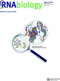 Cover image for RNA Biology, Volume 13, Issue 10, 2016