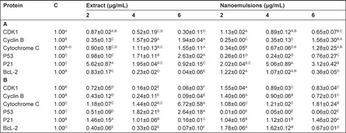 Figure 11 Expression of proteins.Notes: Expression in A549 (A) and H460 (B) cell lines as affected by curcuminoid nanoemulsions and Curcuma longa extract along with data being presented as mean ± standard deviation (n=3) and different letters within each protein indicating significantly different values at P<0.05. C in each protein expression panel represents cells incubated with medium only. Data are expressed as the relative fold of C.Abbreviations: C, control; GAPDH, glyceraldehyde 3-phosphate dehydrogenase.