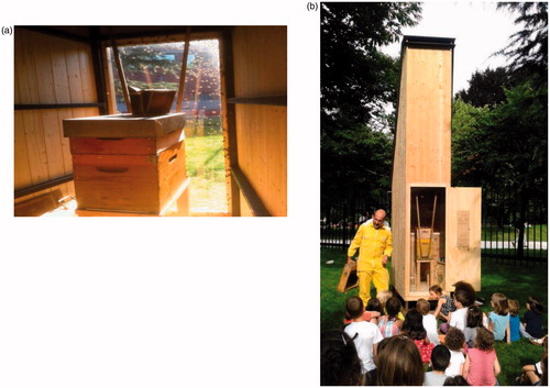 Figure 1. (a,b) The beehive located in the Triennale, in Milano.