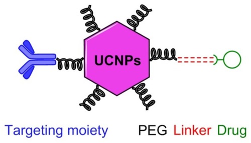 Figure 2 Schematic presentation of UCNPs-PEG-based prodrug with targeting agent.