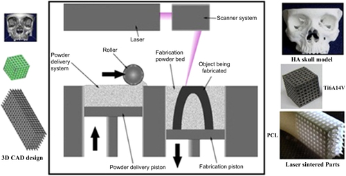 Figure 1. Schematic of SLS from 3D CAD design to the laser sintering process. Reprinted from D N Silva 2008 J. Cranio-Maxillofacial Surg. 36 443–9, Copyright 2008, with permission from Elsevier; S Eshraghi and S Das 2010 Acta Biomater. 6 2467–76, Copyright 2010, with permission from Elsevier; and E Sallica-Leva et al 2013 J. Mech. Behav. Biomed. Mater. 26 98–108, Copyright 2013, with permission from Elsevier.