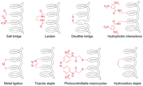 Figure 2 Strategies to constrain α-helical peptides.