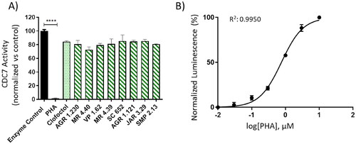 Figure 8. Kinase-Glo assay was used to screen compounds for activity against CDC7-DBF4 kinase. A) CDC7 activity in the presence of compounds at 10 uM. Clofoctol (allosteric inhibitor, 20 uM) and PHA (ATP-competitive inhibitor, 10 uM) were used as controls. B) Graph represents the IC50 of PHA. The activity is proportional to the difference of the total and consumed ATP. The inhibitory activities were calculated based on maximal activities measured in the absence of inhibitor. Bars are the mean ± SD of three independent experiments. Statistical analysis was performed using One-way ANOVA followed by Bonferroni’s post-test (****p < 0.0001).