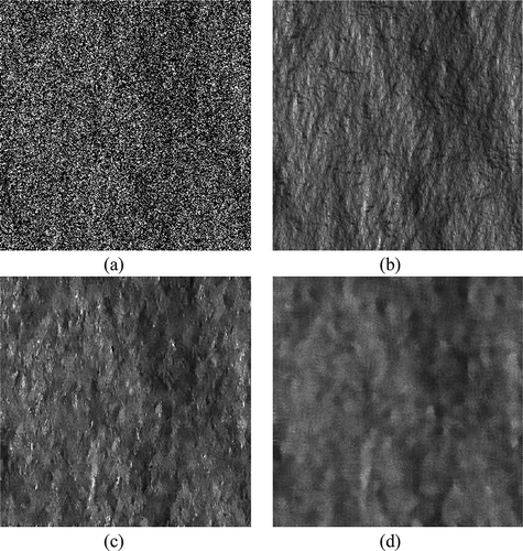 Figure 3. Simulated and despeckled SAR images relevant to the DEM in Figure 1(a) and assuming the cos2 scattering model. (a) Noisy; (b) reference SAR image; (c) SB-PPB; (d) PPB.