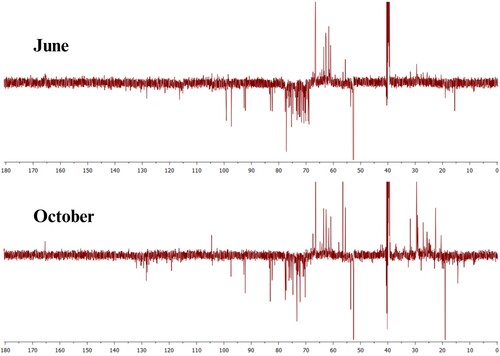 Figure 4. Overlapping of 13C-DEPTQ NMR spectra in DMSO-d6, at the power of 500 MHz for the extracts of J. brandegeeana obtained from the collections of June 2021 and October 2021.