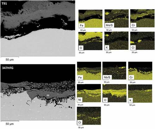 Figure 8. Backscattered images of T91-D6 and 347HFG-D6 on the left-hand side with respective EDX maps after 500 h exposure.