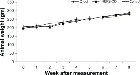 Figure 3 Body weight of Wistar rats following injection of quantum dots (QDs) and anti-HER2ab-QDs. Mean and standard deviation of body weight of Wistar rats treated with QDs, anti-HER2ab-QD, and phosphate buffered saline control were not significantly different over a 2-month period.