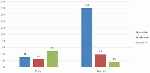 Figure 4. Total length-frequency distribution (with corresponding data on sex) of white sharks (Carcharodon carcharias) in Gansbaai (2009–2019)