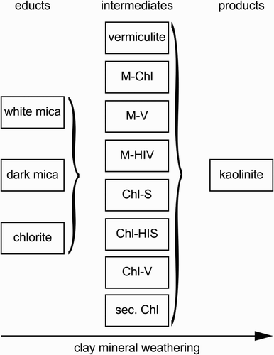 Figure 10. Evolution of clay mineral educts, intermediates and products of clay mineral weathering (excluding non-clay mineral phases) during 120 kyr of soil formation under wet, temperate conditions.