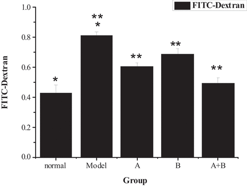 Figure 5. Comparison of FITC-Dextran content of rats from the 5 groups (x ± s, n = 9, and μg/mL)