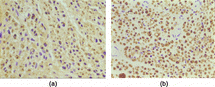 Figure 9 SMI-38 immunohistochemistry staining for the regenerated nerve axons of the distal segments (100 ×).