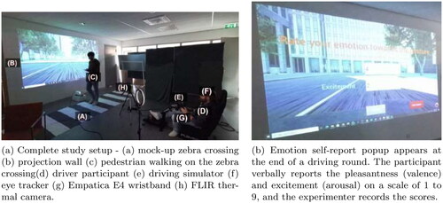 Figure 9. Study setup for the hybrid driving simulator study that combines a simulated driving environment with real world pedestrians. In this hybrid setup, the participant drives a car using a driving simulator. The participant views the road environment on the projected screen while interacting with a confederate pedestrian who walks across a mock-up zebra crossing placed before the screen.