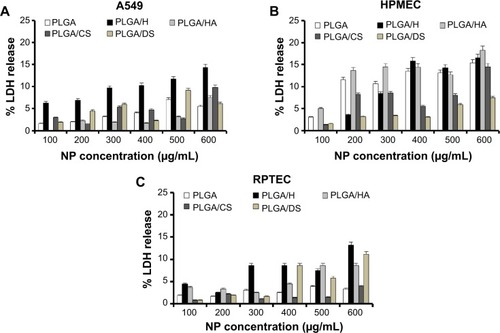 Figure 5 Effect of glycosaminoglycan-functionalized poly-lactide-co-glycolide (PLGA) nanoparticles (NPs) on cell-membrane integrity following exposure to increasing concentrations of GAG-functionalized PLGA NPs for 24 hours. The relative lactate dehydrogenase (LDH) release was co-related to percentage cytotoxicity. Cytotoxicity due to loss in membrane integrity in (A) lung epithelial adenocarcinoma (A549) cells, (B) human pulmonary microvascular endothelial cells (HPMEC), and (C) renal proximal tubular epithelial cells (RPTEC) (n=3).Abbreviations: PLGA/CS, poly-lactide-co-glycolide functionalized with chondroitin sulfate; PLGA/DS, poly-lactide-co-glycolide functionalized with dermatan sulfate; PLGA/H, poly-lactide-co-glycolide functionalized with heparin; PLGA/HA, poly-lactide-co-glycolide functionalized with hyaluronic acid.