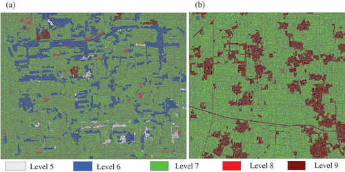 Figure 7. Selfhood scale learning results for (a) urban area and (b) farmland area. Each object was colored differently according to its selfhood scale learned from multiscale SWA results, ranging from level 5 to level 9.