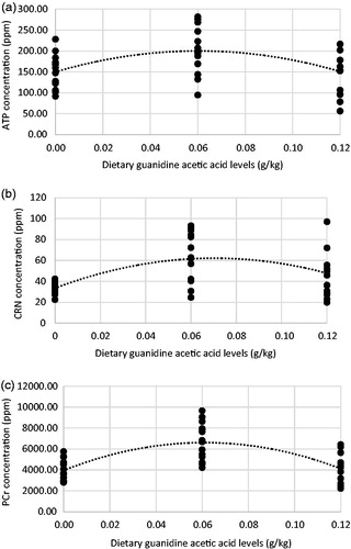Figure 2. Effect of dietary GAA supplementation on energetic molecular metabolite concentrations in breast muscles of broiler chicks at 10 days of age: (a) ATP, Y = 150.03 + 1664.20X – 13818X2, R2 = .20; (b) creatinine (CRN), Y = 33.44 + 817.76X– 5818.40X2, R2 = .27 (CRN) and (c) phosphocreatine (PCr), Y = 3954 + 87133x − 715010x2, R2 = .44.