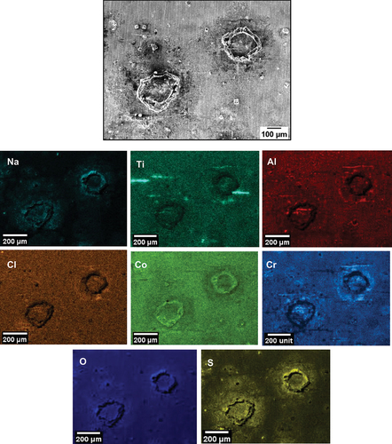 Figure 7. EDS map of the top surface of salted C-ring exposed for 50 hours in 50 ppm SO2 - Air.