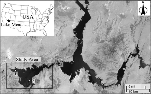 Figure 1 Lake Mead (source: http://earthobservatory.nasa.gov/Features/LakeMead). Numbers 1, 2 and 3 represent the in-lake real-time monitoring sites named Las Vegas Bay, Sentinel Island and Virgin Basin, respectively.