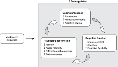 Figure 1 Mindfulness instruction and improved self-regulation.