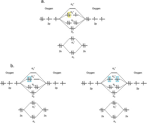 Figure 2.1.2. The molecular orbital diagrams of a) O2− doublet (n = 1) configuration, with one unpaired electron in one of the π* molecular orbitals and b) 1O2 triplet in the two possible electronic configurations