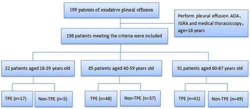 Figure 1 Patients selection process and grouping.