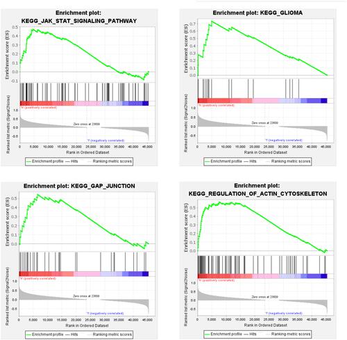 Figure 3 GSEA plots of four gene sets that were significantly differentiated between high- and low-miRNA-1245a expression groups. The median expression of miRNA-1245a was selected as the cut-off value.