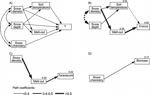 Figure 7 Path diagram showing influence of environmental parameters on plant responses. (A) Hypothesized relationships, (B) flowering of Crocus albiflorus, (C) flower senescence of Taraxacum officinale, (D) above-ground biomass production. All path relationships shown in (B), (C), and (D) are statistically significant (P < 0.05). Line width indicates the magnitude of the path coefficients. Negative correlations are denoted by dotted, positive by solid lines. Model R 2 values are indicated for soil temperatures, melt-out, phenology, and biomass.