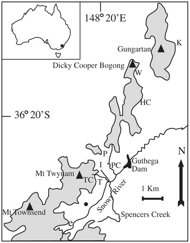 FIGURE 1. Map of the study area showing the location of the study tree-limit ribbons and the area above 1900 m (shaded). Ribbons were T = Twynam (unburnt), I = Illawong (2 ribbons, one unburnt), P = Pounds Creek (unburnt), HC = Horse Camp (3 ribbons, one unburnt), W = Whites River (burnt), and K = Kerries (unburnt). The transect through five parallel ribbons begins at ribbon I; TC = Twynam Creek, PC = Pounds Creek and its northeasterly extension, e is the location of the two establishment-phase ribbons. The filled circle is the location of the seed-bearing snowgum branch.