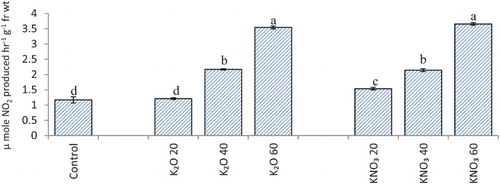 Figure 2. Nitrate reductase activity (µ mole NO2 produced hr−1 g−1 fr wt) in flag leaf of A. sativa L. cultivar KENT supplied with different salts of potassium (55 DAS).