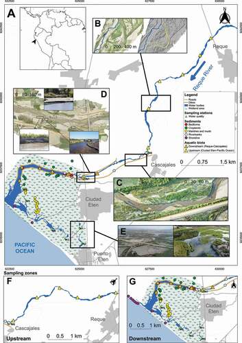 Figure 1. Site map and landscape of the Eten wetland. Doted lines in yellow indicate geomorphic settings along the river corridor, and blue lines indicate river stream and flow. F and G show sampling zones distribution