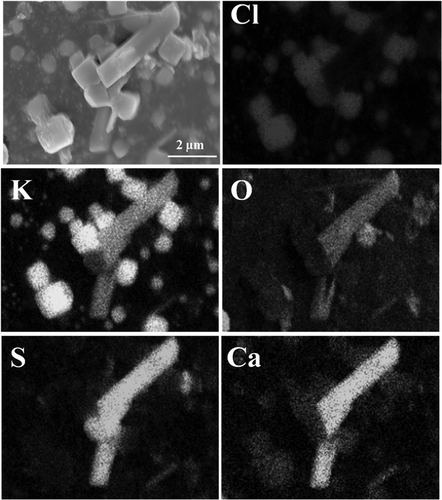 Figure 8. SEM-EDS mapping of CaSO4-K2SO4 hybrid particles.