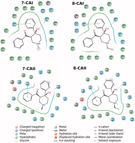 Figure 3. 2D docking poses of compounds 7 and 8 into the hCA I and II receptors.