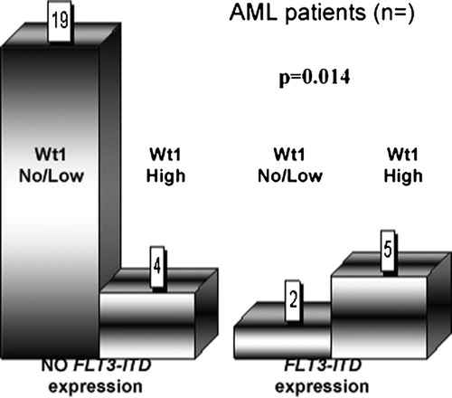 Figure 3. Co‐expression of Wt1 protein and FLT3‐ITD in de novo AML patients.