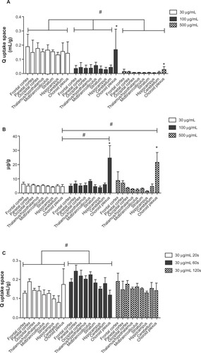 Figure 4 Ceria ENM uptake space at three concentrations and perfusion duration times. Effect of ceria ENM concentration and perfusion duration on its uptake. (A) Q uptake space (mL/g) of a 5 nm ceria ENM in eight brain regions and the choroid plexus for three concentrations, at a flow rate of 20 mL/minute, and 120-second perfusion duration. (B) Mass amount (μg/g) of 5 nm ceria ENM in eight brain regions and the choroid plexus after brain perfusion with three ceria concentrations, at a flow rate of 20 mL/minute and perfusion duration of 120 seconds. (C) Q uptake space (mL/g) of 5 nm ceria ENM in eight brain regions and choroid plexus after 20-, 60-, and 120-second perfusion at 30 μg/mL, at a flow rate of 20 mL/minute.Notes: (A) #Significantly different among three concentration groups, P < 0.05; *significantly different compared to the eight brain regions at the same concentration, P < 0.05. (B) #Significantly different compared to 30 μg/mL concentration group; *significantly different compared to the eight brain regions, P < 0.05. (C) #Significantly different between 20- and 60-second perfusion duration groups, P < 0.05.Abbreviation: ENM, engineered nanomaterial.