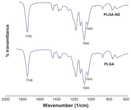 Figure 4 Fourier transform infrared spectra of nanofiber membranes consisting of pure PLGA and PLGA-ND.Abbreviations: PLGA, copolymer of L-lactide and glycolide; ND, nanodiamond.