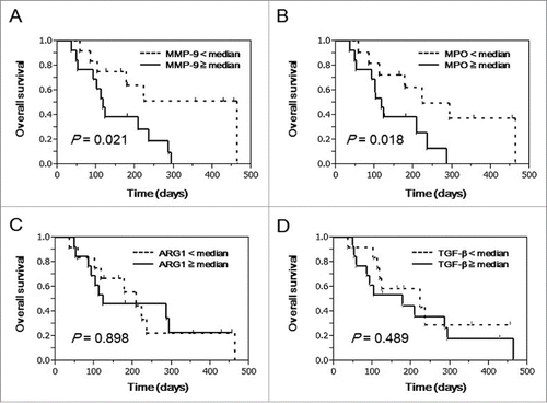 Figure 1. Prognostic significance of plasma MMP-9, MPO, ARG1, and TGFβ in advanced BTC patients treated with PPV. To examine the prognostic significance of MMP-9, MPO, ARG1, and TGFβ in pre-vaccination plasma from advanced BTC patients treated with PPV (n = 25), curves for OS were estimated by the Kaplan-Meier method, and differences between survival curves were statistically analyzed using the log-rank test. Censored patients are shown as vertical bars. Patients treated with PPV were divided into 2 subgroups according to the median values of plasma MMP-9 (A), MPO (B), ARG1 (C), and TGFβ (D).