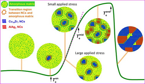 Figure 6. The sketch of the microstructural evolutions behind the anomalous expansion.