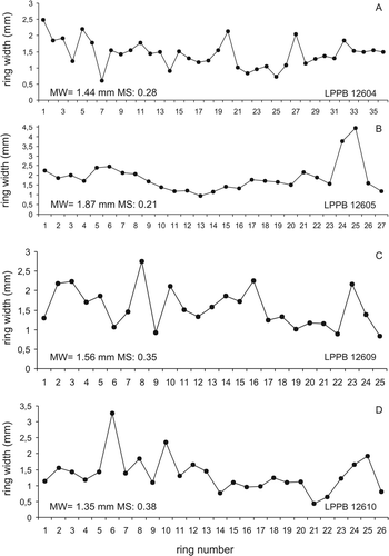 Fig. 12 Graphs showing variation in width of growth rings through ring sequences of selected fossil trees. A, specimen LPPB 12604, USM01B ring series. B, specimen LPPB 12605, USM02B ring series. C, specimen LPPB 12609, USM13A ring series. D, specimen LPPB 12610, USM15E ring series. MW = mean width, MS = mean sensitivity.