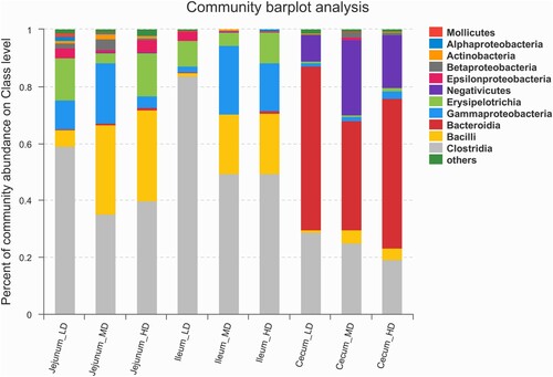 Figure 4. Taxonomic composition of the bacterial communities at the class level of jejunal, ileum, and caecal samples (n = 6).