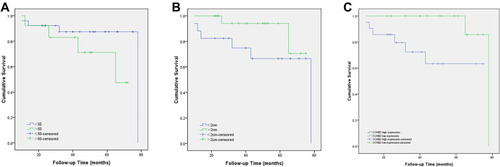 Figure 7 Kaplan–Meier overall survival curves according to the (A) patient age (p = 0.170), (B) tumor size (p = 0.143), and (C) CCNB2 expression (p = 0.022).