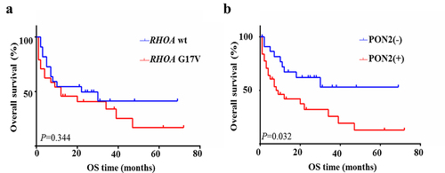 Figure 6. PON2 expression correlates with poor prognosis in AITLs. Kaplan–Meier analysis of overall survival for patients with AITL with or without RHOA G17V mutation or PON2 expression.